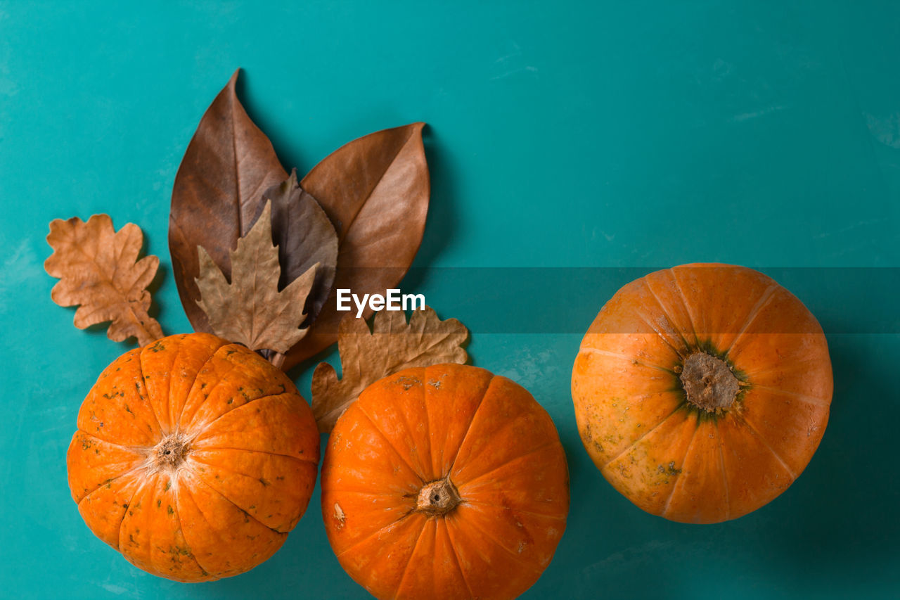 DIRECTLY ABOVE SHOT OF ORANGE LEAVES AGAINST BLUE BACKGROUND