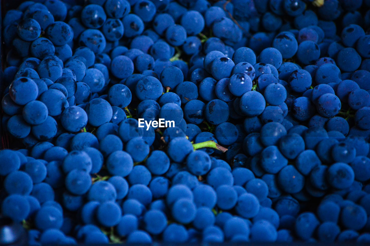 Full frame shot of grapes