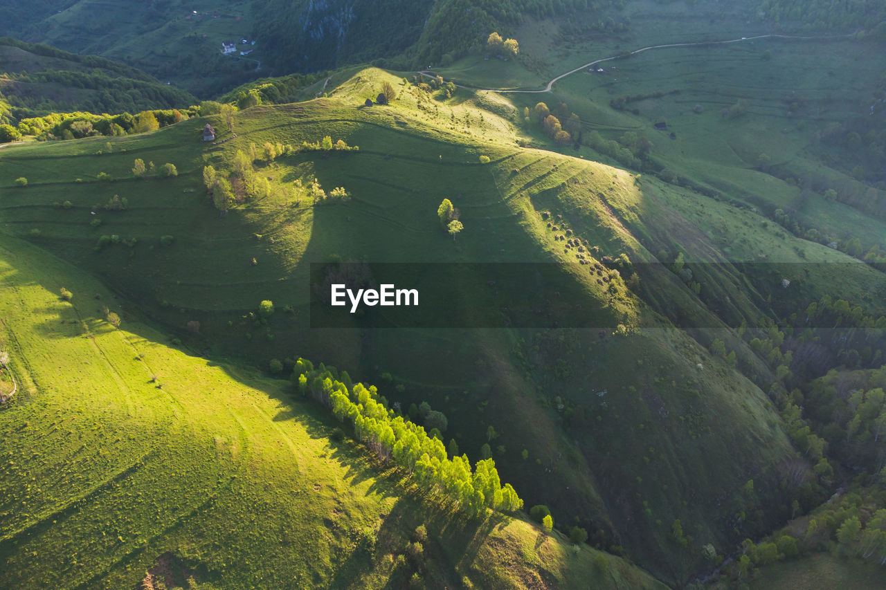 HIGH ANGLE VIEW OF FRESH GREEN LANDSCAPE