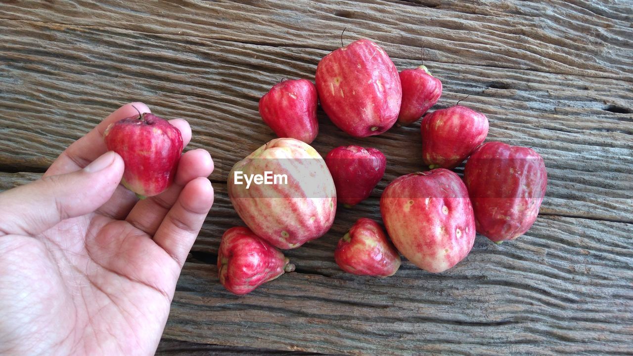 HIGH ANGLE VIEW OF HAND HOLDING FRUITS