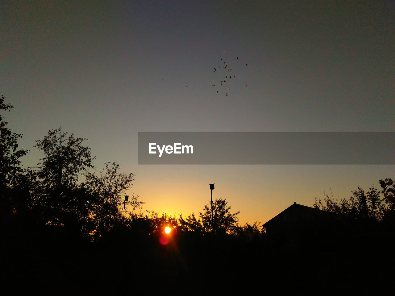 LOW ANGLE VIEW OF SILHOUETTE BIRDS FLYING AGAINST SKY