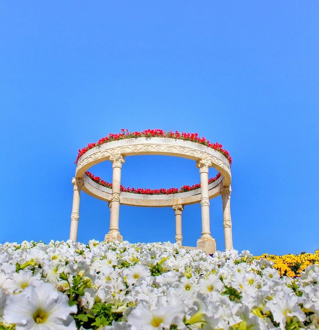 Low angle view of flowers on gazebo against clear sky