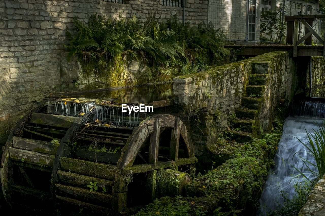 architecture, urban area, built structure, plant, no people, nature, waterway, ruins, water, abandoned, day, old, outdoors, screenshot, jungle, tree, green, damaged, building exterior, water wheel, watermill, history, rundown, wall