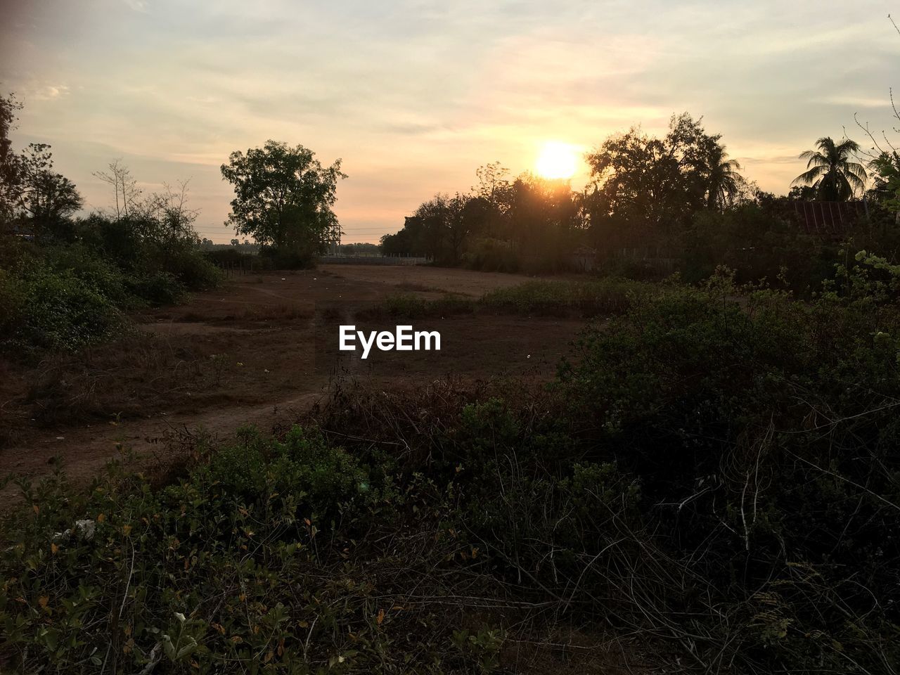 SCENIC VIEW OF FIELD DURING SUNSET