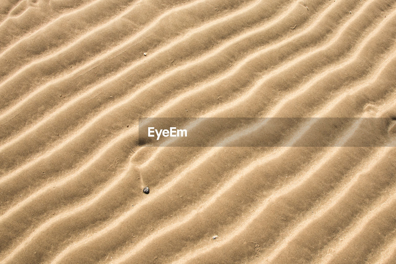 Full frame shot of sand dune