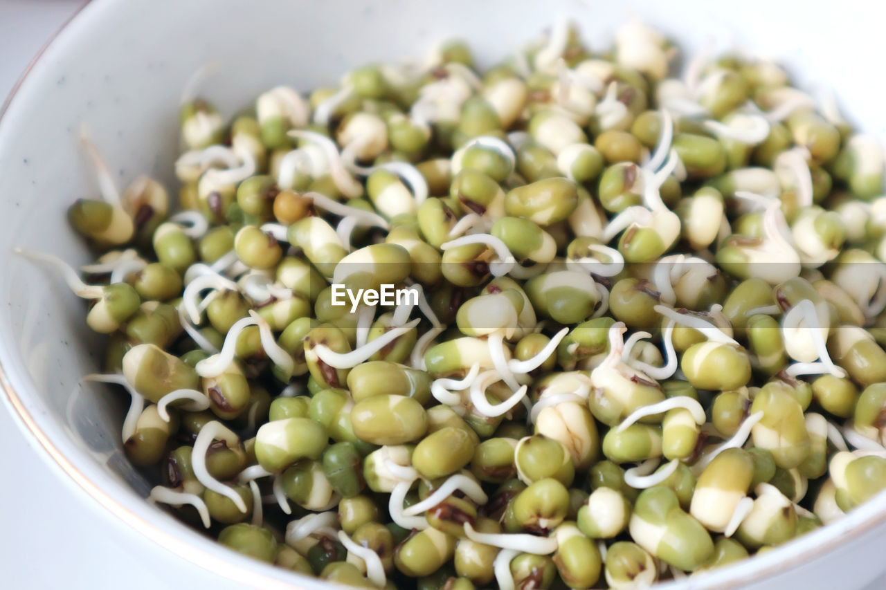 Mung bean sprouts