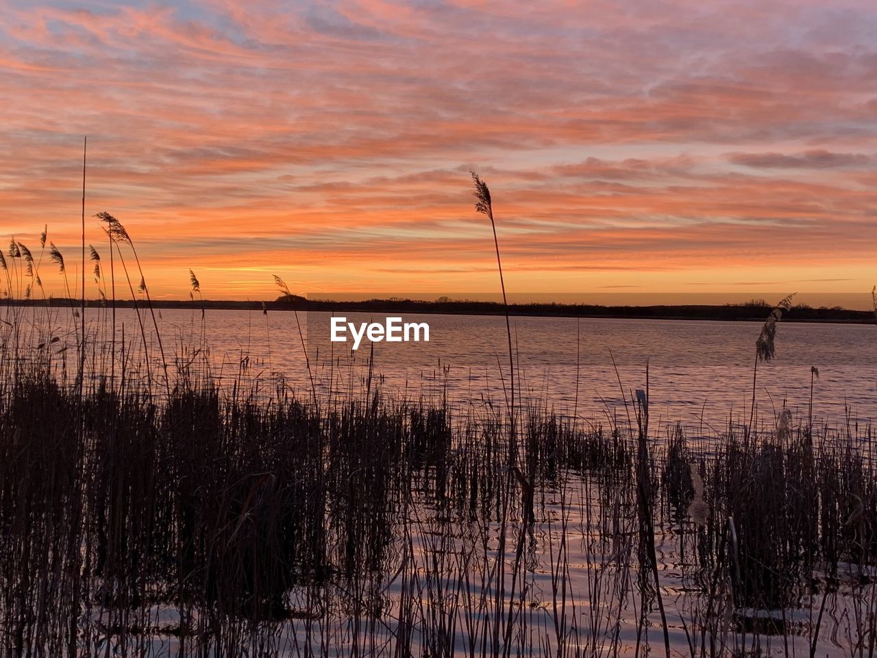 Scenic view of sea against orange sky
