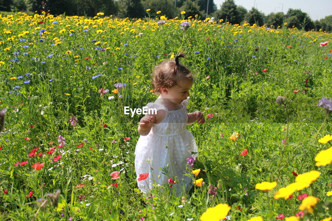 Girl standing on field amidst plants