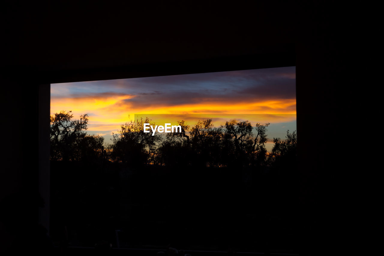 SILHOUETTE TREES ON LANDSCAPE AGAINST SKY DURING SUNSET