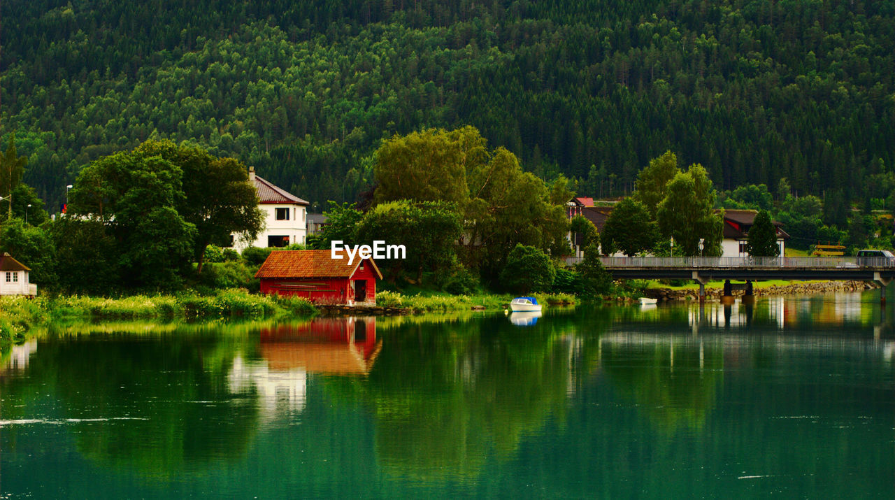 SCENIC VIEW OF LAKE AND TREES