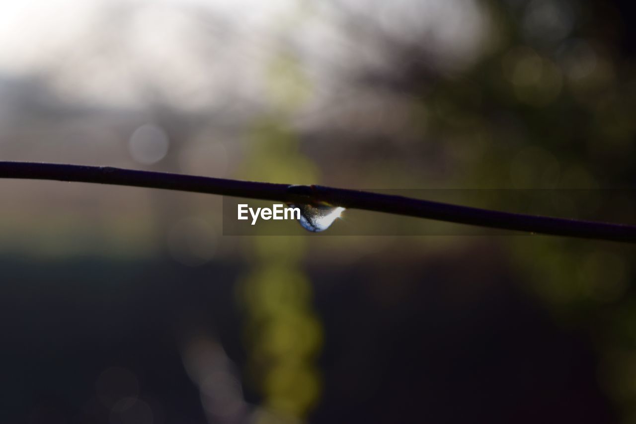 CLOSE UP OF WATER DROP