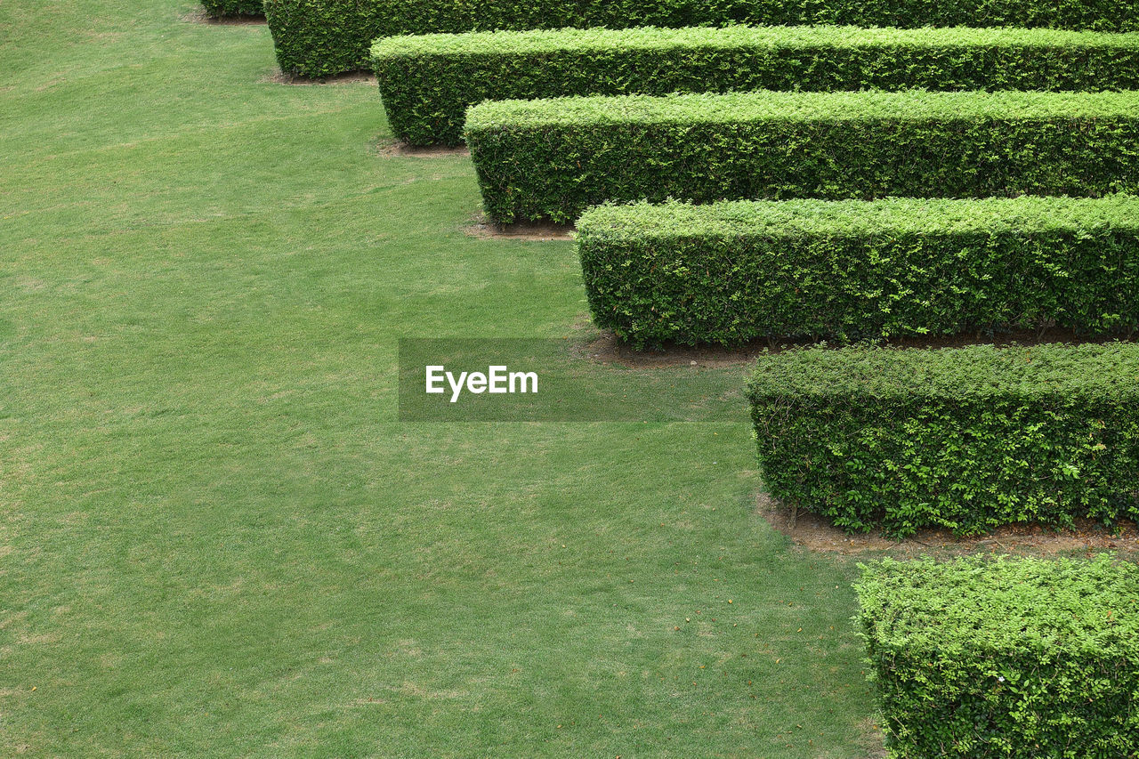 HIGH ANGLE VIEW OF FORMAL GARDEN