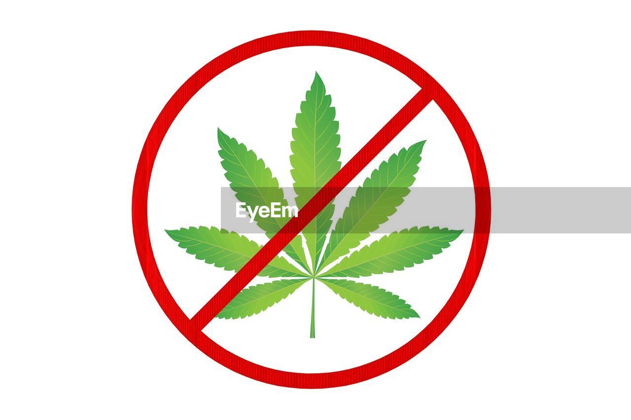 Illustration image of sign and marijuana on white background