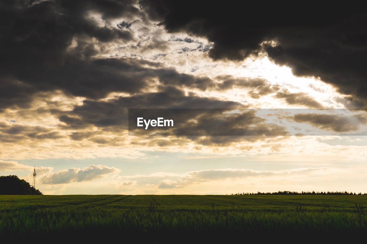 Scenic view of field against sky during sunset