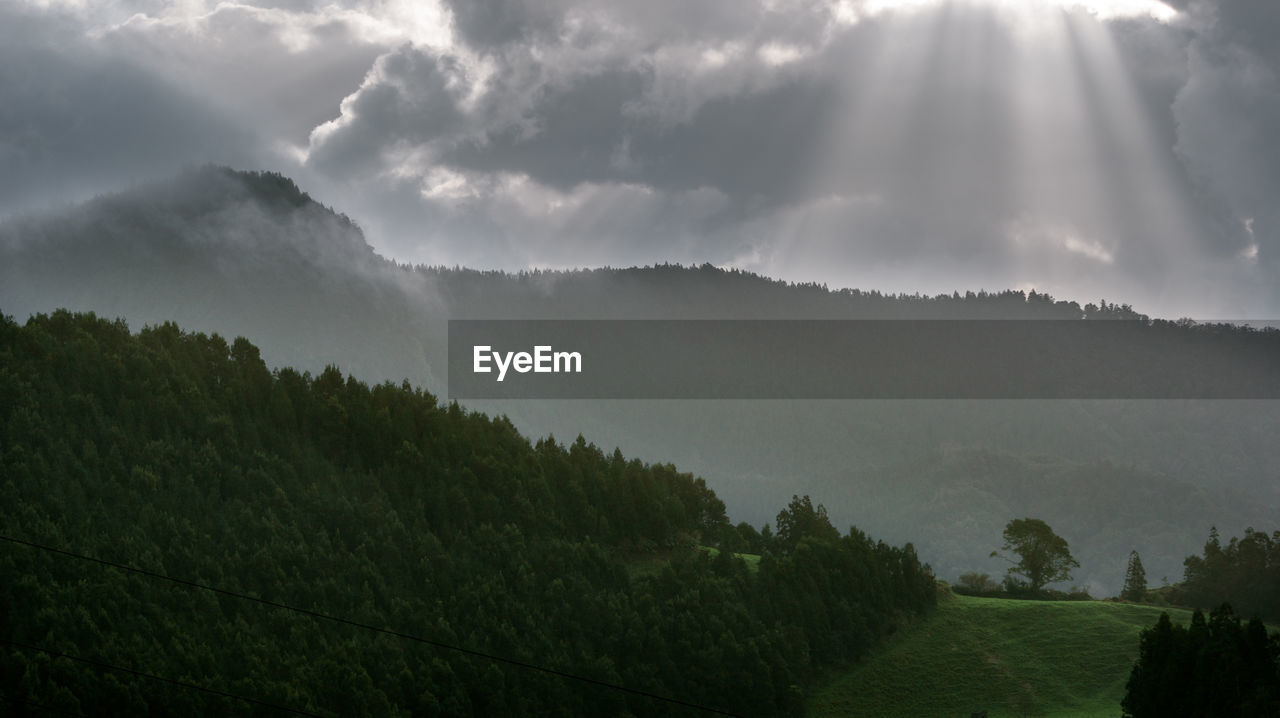 PANORAMIC VIEW OF GREEN LANDSCAPE AGAINST SKY