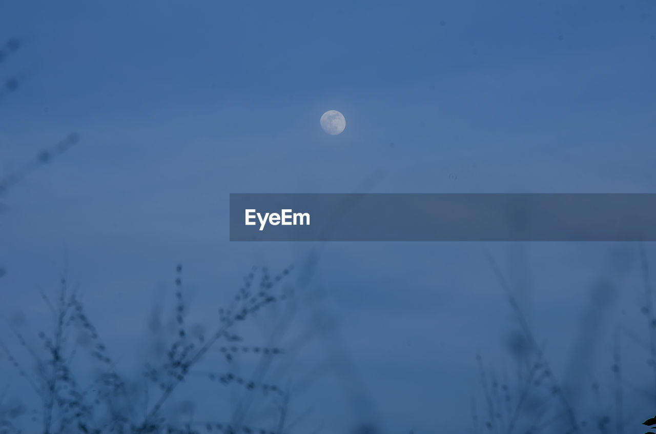 LOW ANGLE VIEW OF MOON AGAINST BLUE SKY