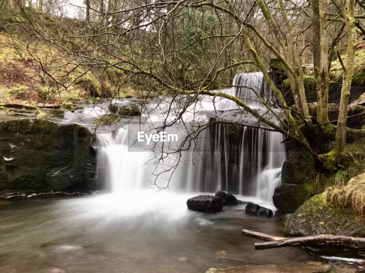 SCENIC VIEW OF WATERFALL