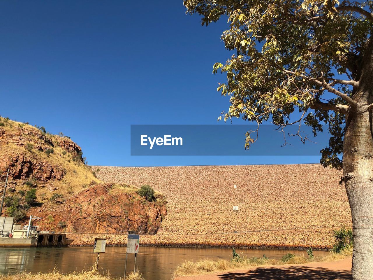 TREE BY LAKE AGAINST CLEAR SKY