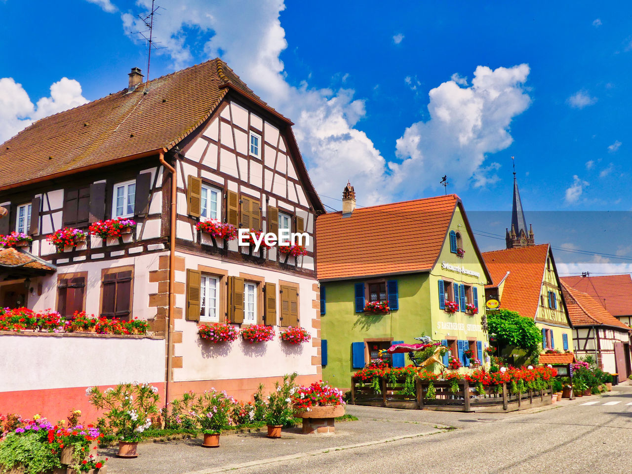 POTTED PLANTS OUTSIDE HOUSES AGAINST SKY