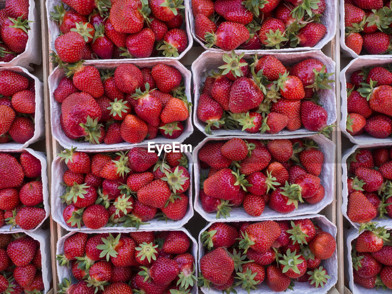 FULL FRAME SHOT OF FRESH FRUITS IN MARKET