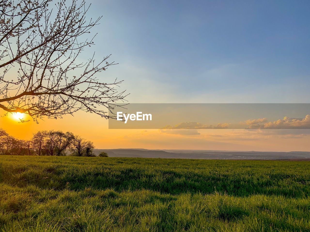 Scenic view of field against sky during sunset