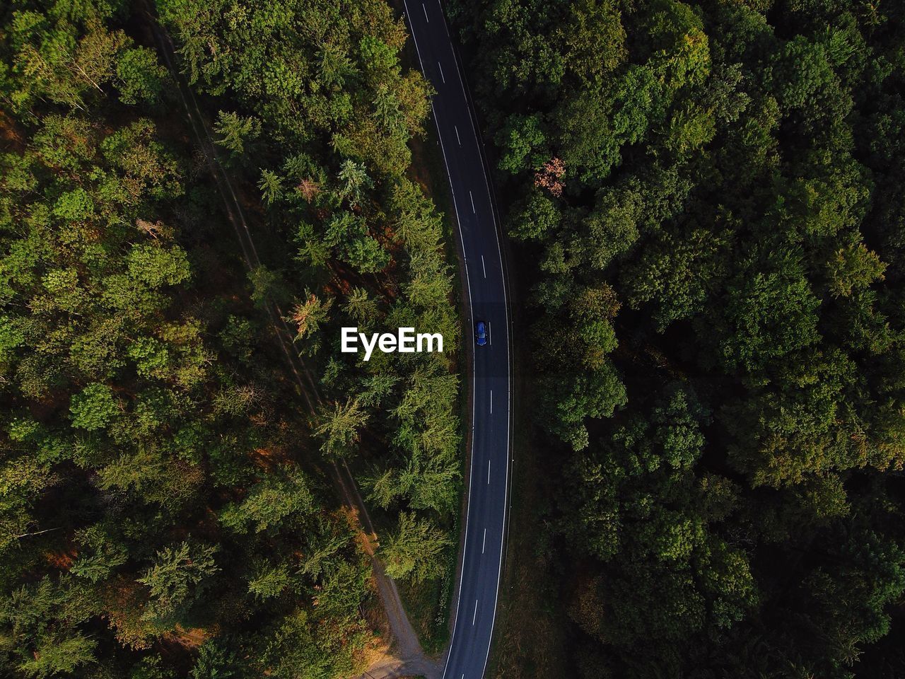 Aerial view of road amidst trees in forest