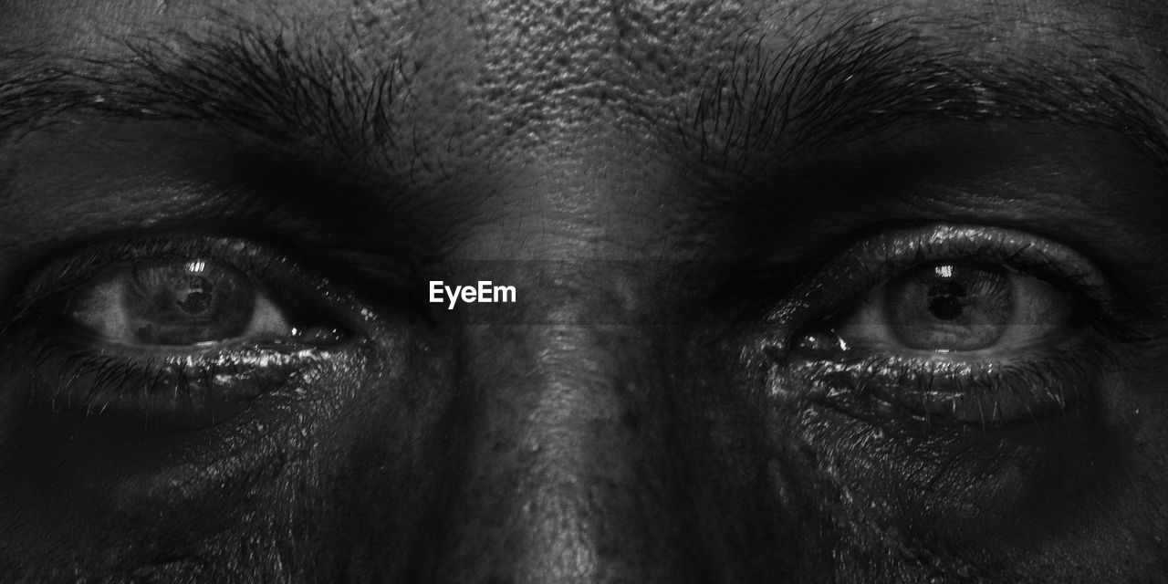 Close-up of human eyes