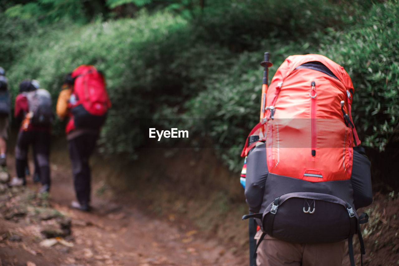 Girl with big mountain backpack. tropical mountain climbing