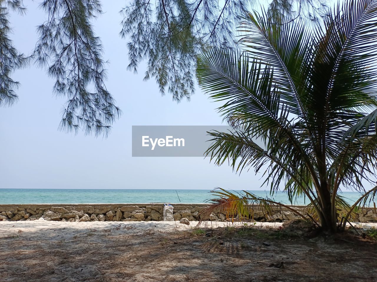 Ban Chuen Beach in Trat Province, Thailand Tree Water Sea Beach Sky Horizon Over Water Grass Seascape Rocky Coastline Sand Dune Sandy Beach Palm Tree Countryside