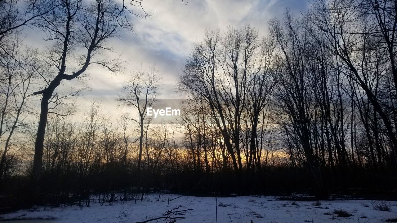 SCENIC VIEW OF SNOW COVERED FIELD AGAINST SKY