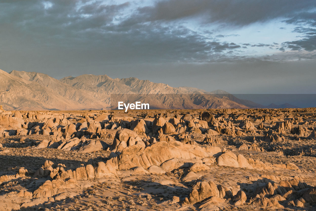 Scenic view of desert against sky