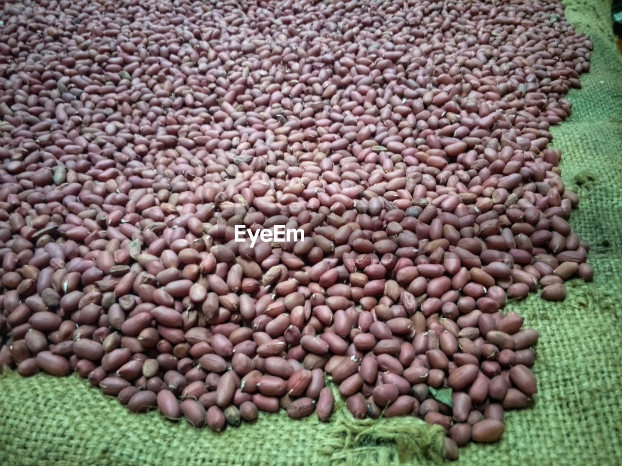 CLOSE-UP OF ROASTED COFFEE BEANS IN CONTAINER