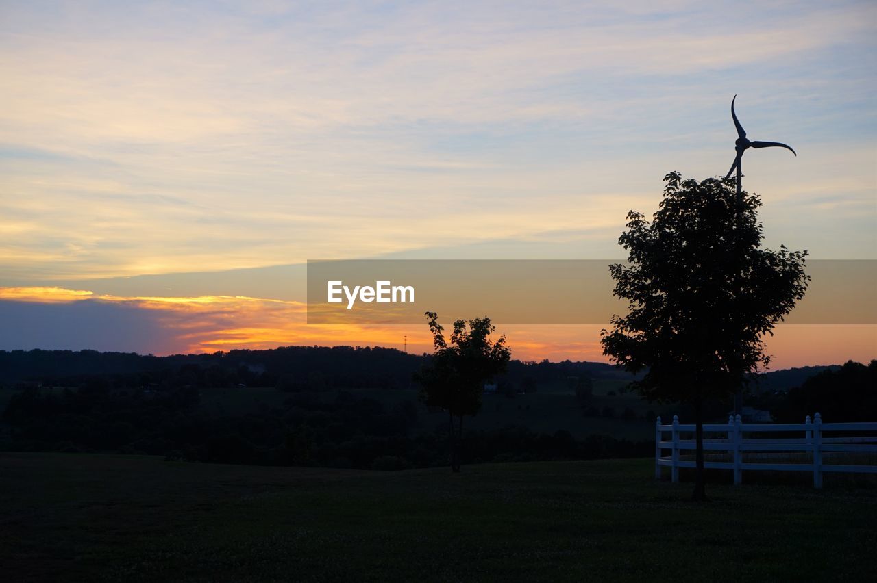 SILHOUETTE TREE ON FIELD AGAINST SKY AT SUNSET