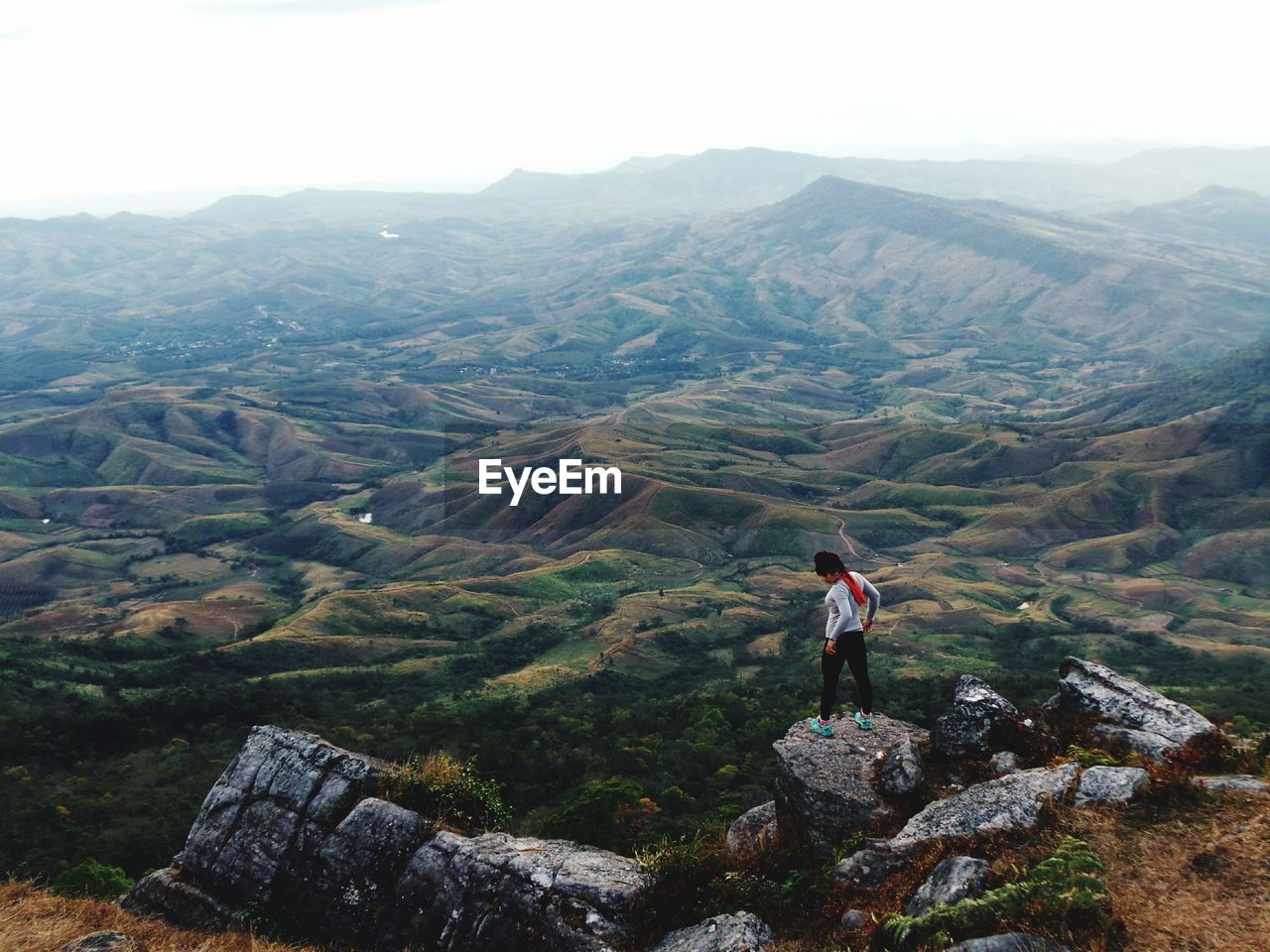 SCENIC VIEW OF RURAL LANDSCAPE