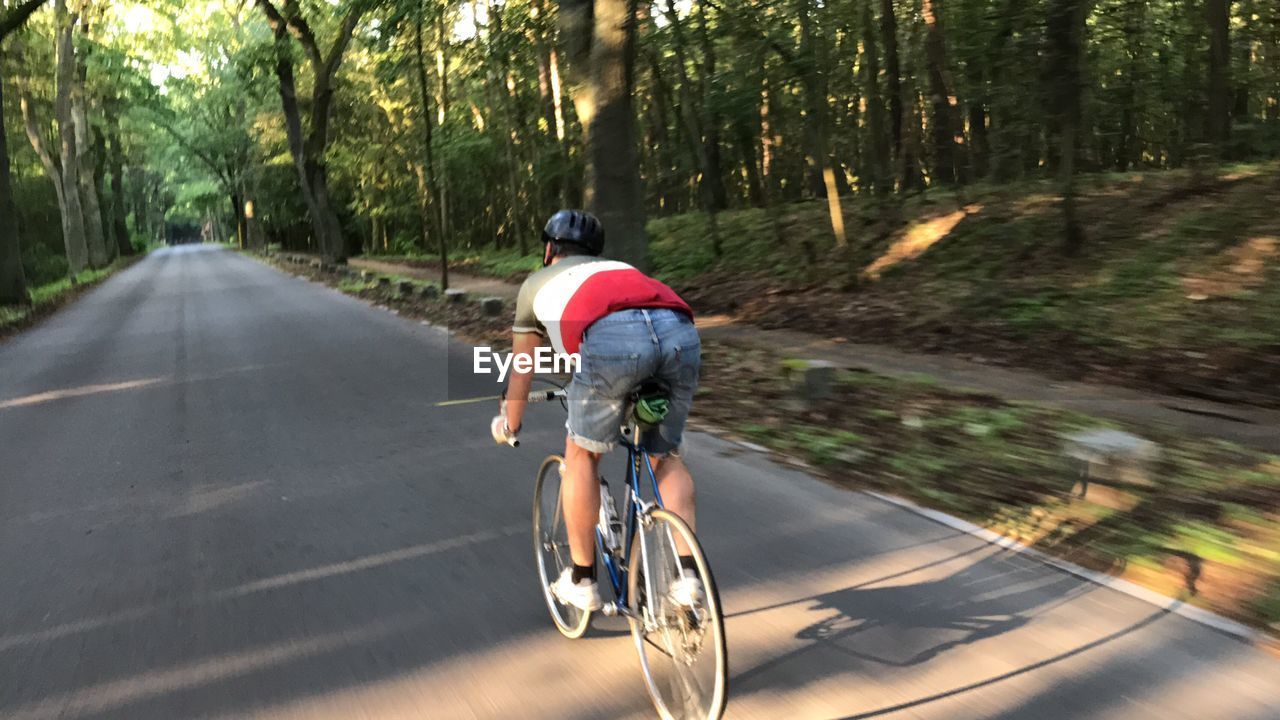 Rear view of man riding bicycle on road