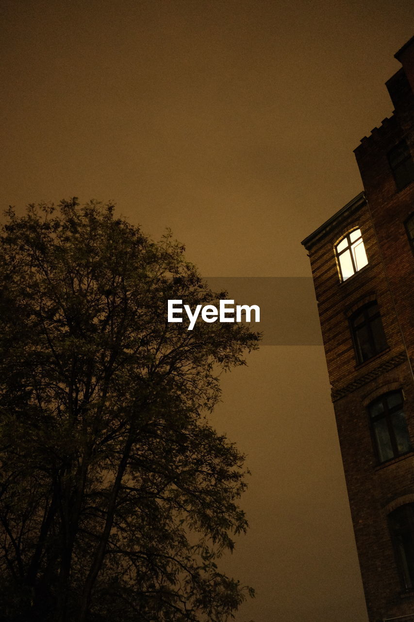 Low angle view of silhouette tree against building at night