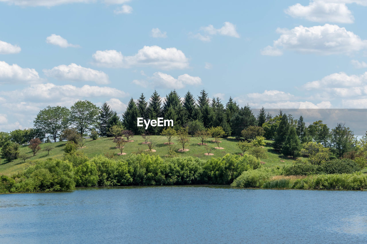 Scenic view of river in forest against sky