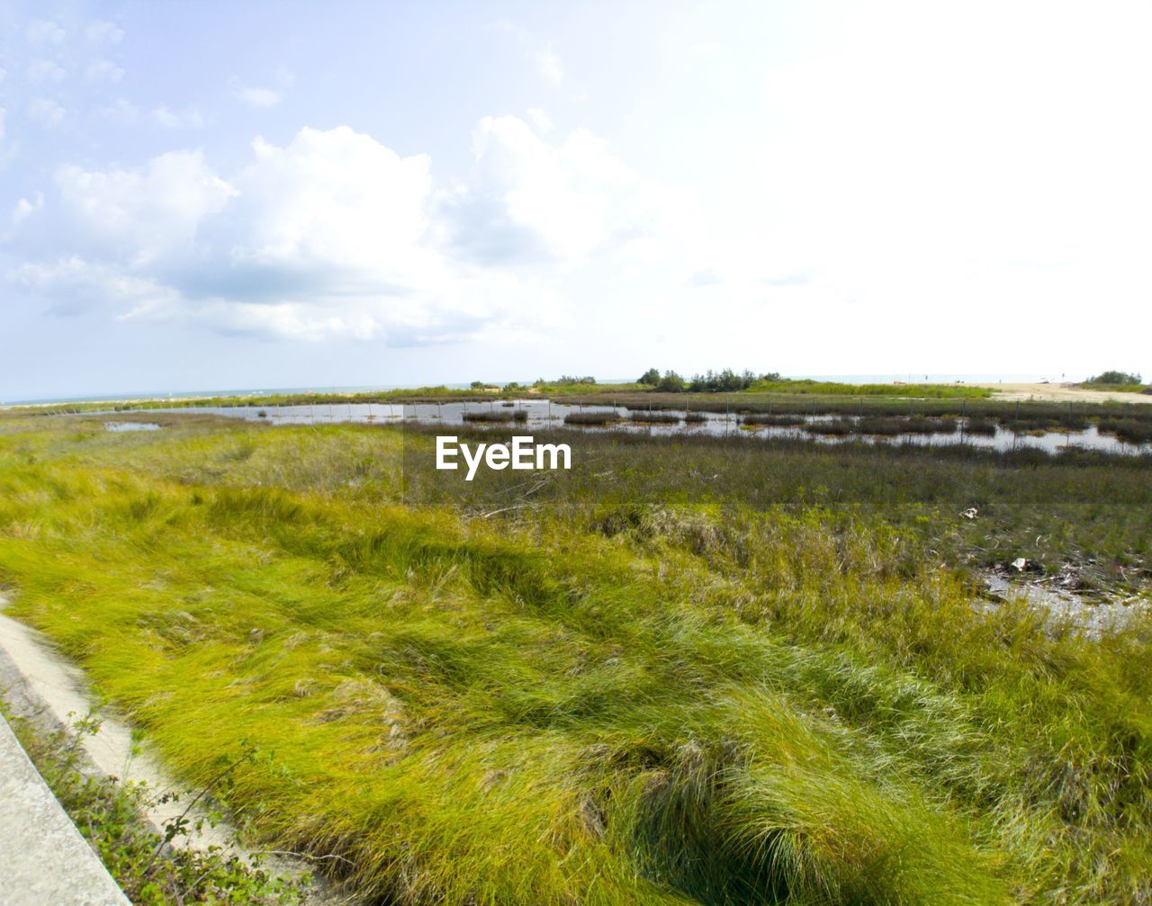 SCENIC VIEW OF GRASS FIELD AGAINST SKY