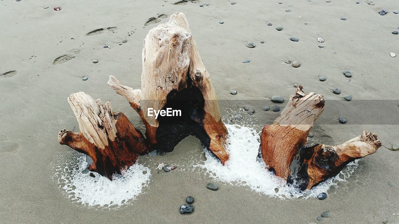 HIGH ANGLE VIEW OF WOOD ON WOODEN FLOOR