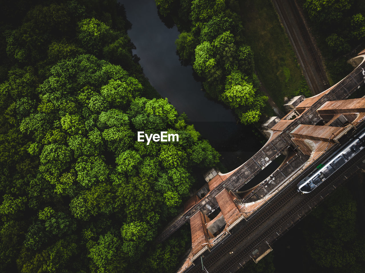 Directly above shot of railroad tracks amidst trees in forest