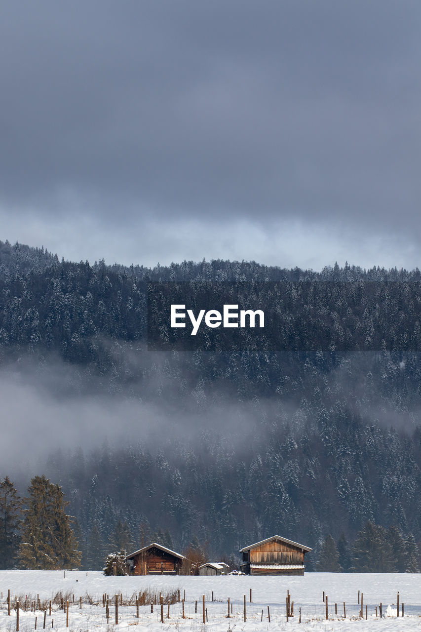 SCENIC VIEW OF SNOW COVERED TREES AGAINST SKY