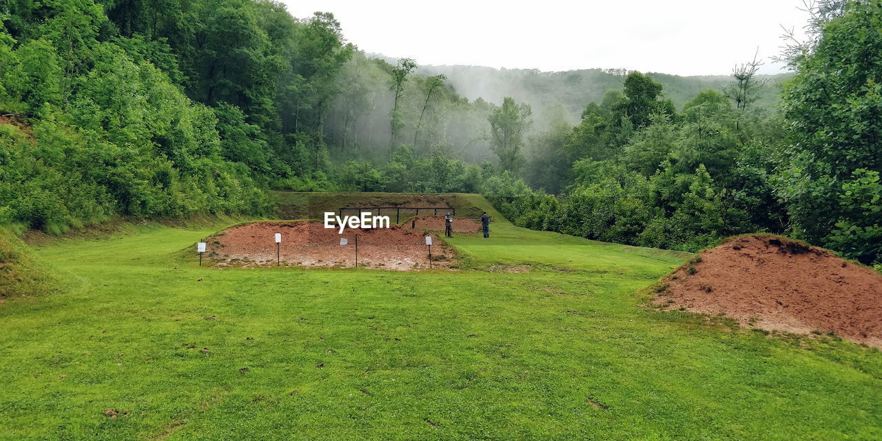 SCENIC VIEW OF LAND AGAINST TREES