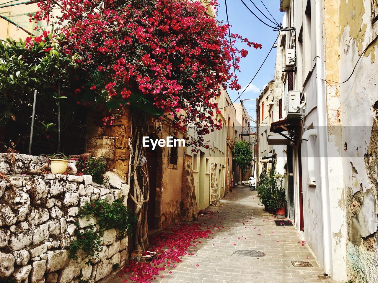 Narrow alley amidst buildings in city