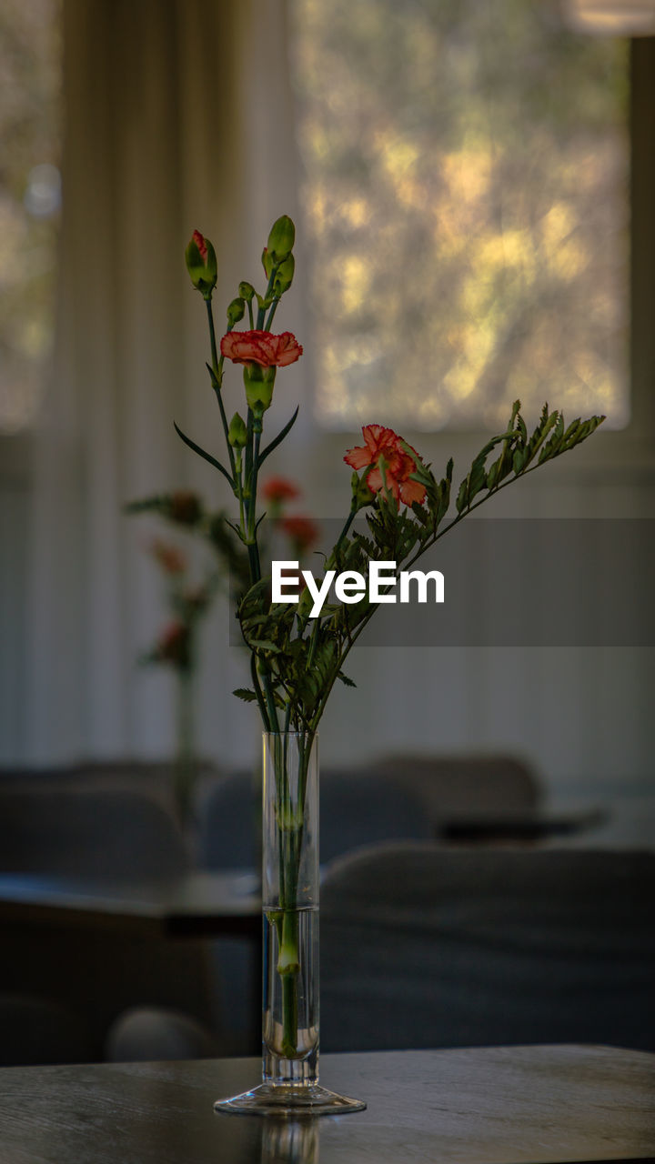 CLOSE-UP OF FLOWERS IN VASE