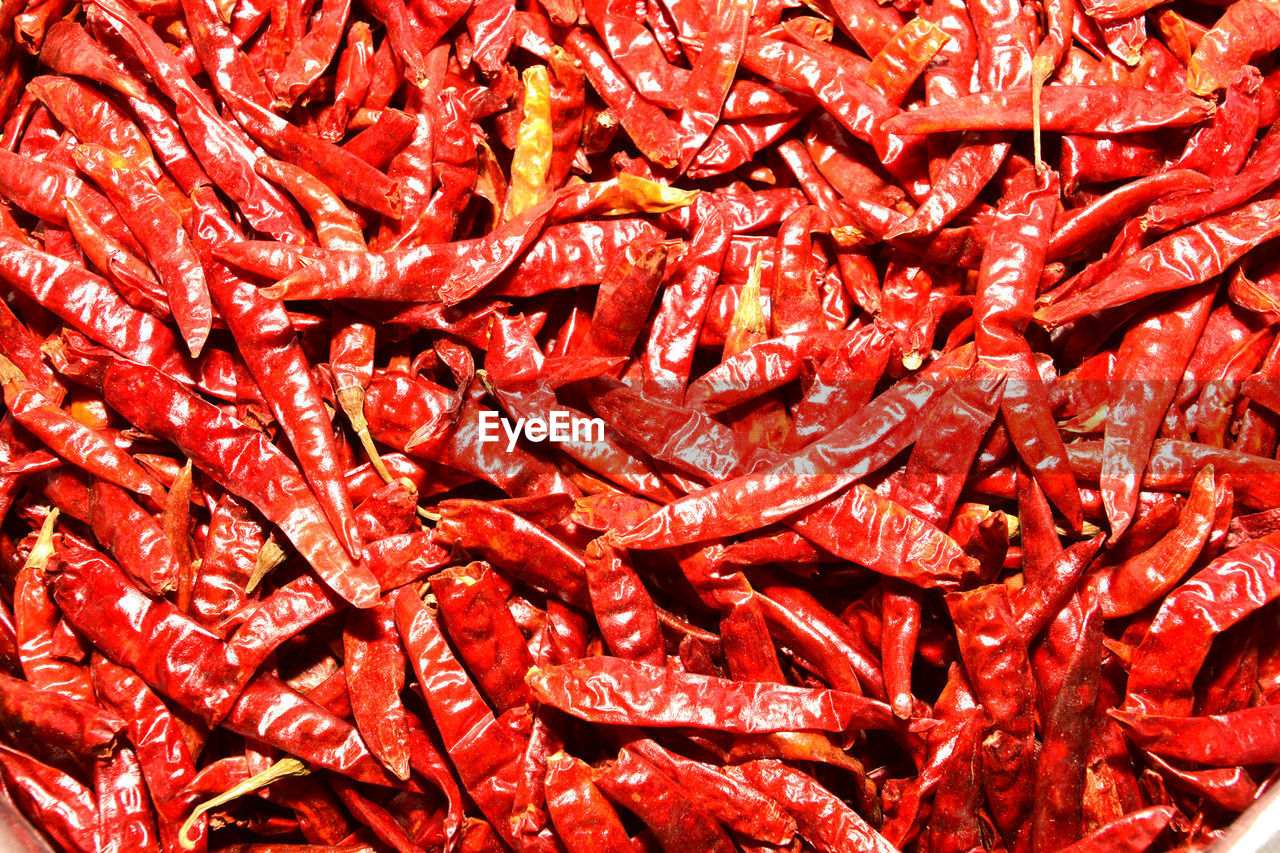 CLOSE-UP OF RED CHILI PEPPERS