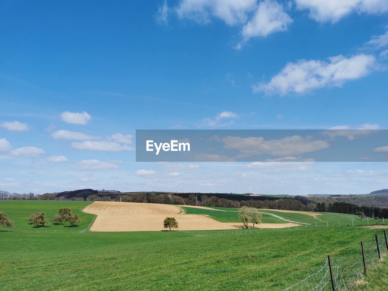 Scenic view of agricultural field against sky