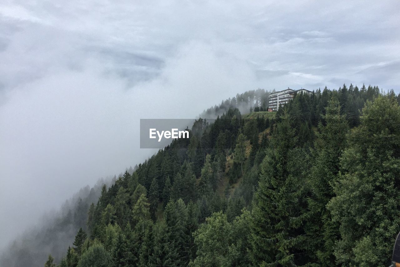 High angle view of trees growing on hill during foggy weather