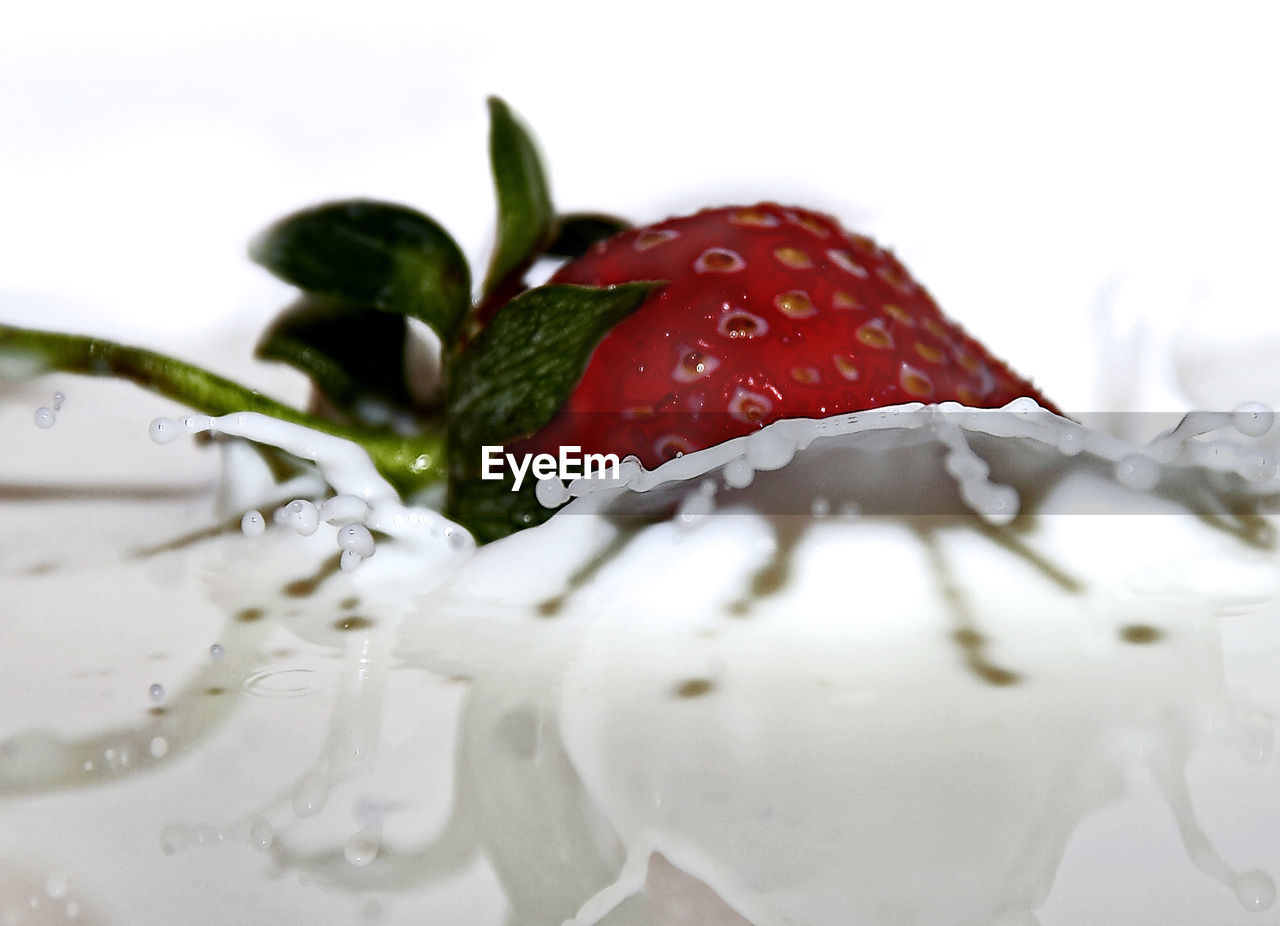 Close-up of water drops on fruit