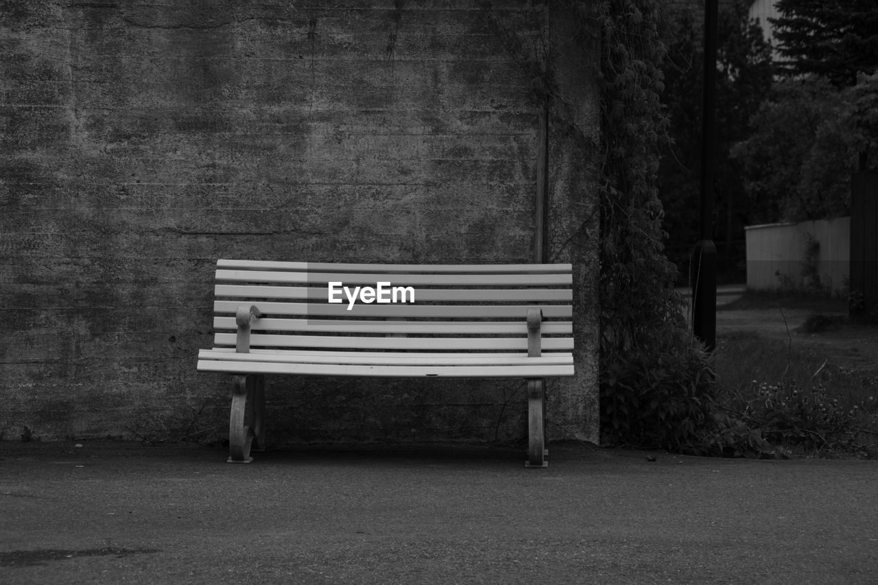 Empty bench against trees