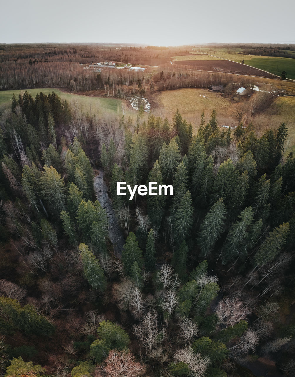 HIGH ANGLE VIEW OF FRESH GREEN LANDSCAPE